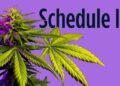 Congressman wants to know what’s going on with marijuana rescheduling