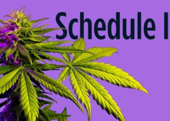 Congressman wants to know what’s going on with marijuana rescheduling