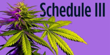 Congressman wants to know what’s going on with marijuana rescheduling
