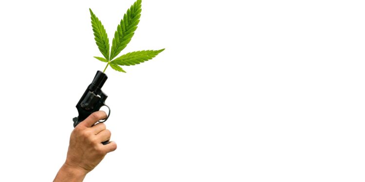 Trump Admin Looking To Halt Prosecutions Of Marijuana Users For Owning Firearms