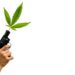 Trump Admin Looking To Halt Prosecutions Of Marijuana Users For Owning Firearms