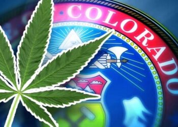 Colorado’s Hidden Hemp Market: A Closer Look at the State’s Surging Illegal Trade
