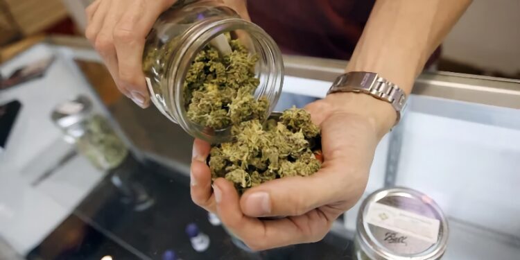 Marijuana Businesses are getting in line for Schedule III