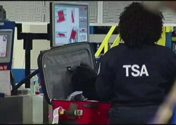 TSA is allowing marijuana through security now