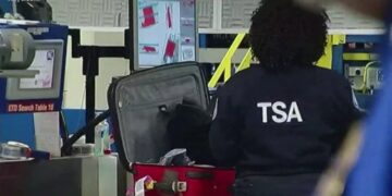 TSA is allowing marijuana through security now