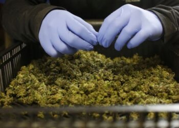 North Carolina Moves to Set Minimum Age for Hemp and Kratom Sales