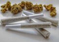 Pre-Rolls Surpass Flower as Cannabis Market Leader in 2025: What This Means for Industry Stakeholders