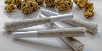 Pre-Rolls Surpass Flower as Cannabis Market Leader in 2025: What This Means for Industry Stakeholders