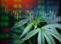 Are Cannabis Stocks back?