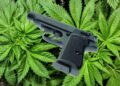 Supreme Court Shields Gun Rights for Marijuana Users in Landmark Ruling