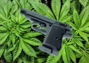 Supreme Court Shields Gun Rights for Marijuana Users in Landmark Ruling