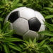 State Officials Guide World Cup Fans on Cannabis Use Amid Heightened Global Scrutiny