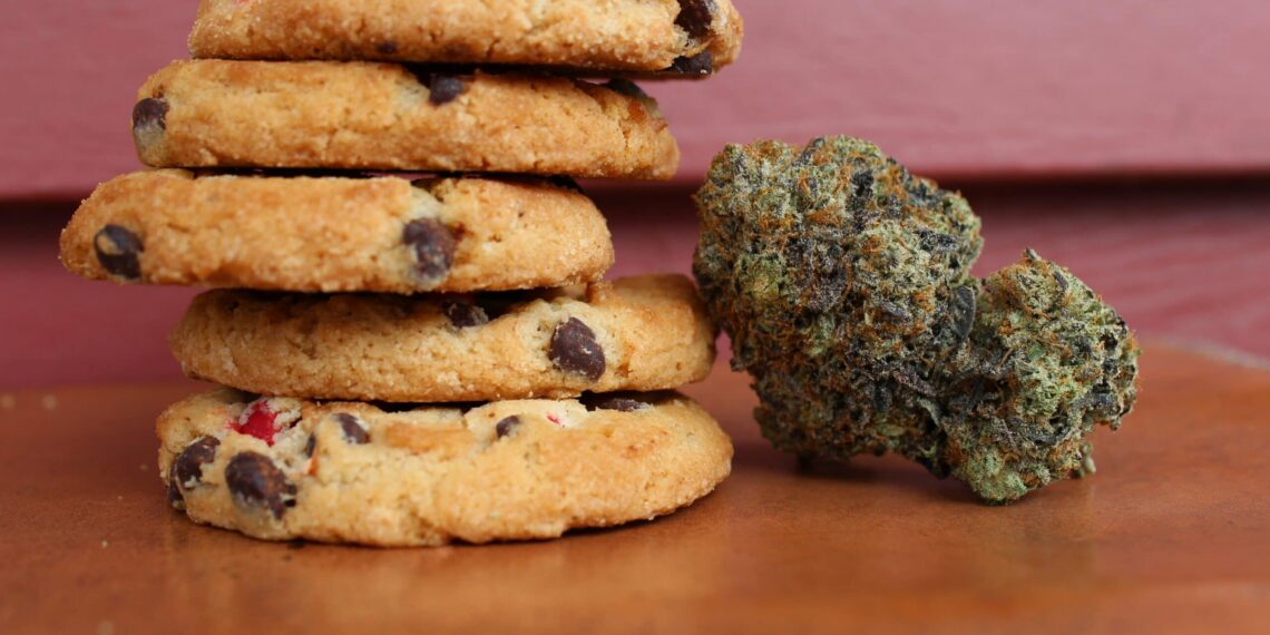 Marijuana Munchies Aren’t Just for Humans: Animals Get Them Too, International Study Finds