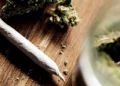 Could Cannabis Use Be Linked to Higher Testosterone in Young Men? A New Perspective