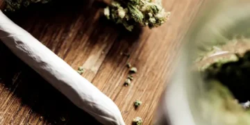 Could Cannabis Use Be Linked to Higher Testosterone in Young Men? A New Perspective
