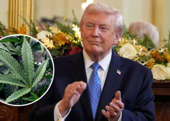 Former Trump Attorney General’s Stark Claims on Marijuana’s Risks and Medical Value