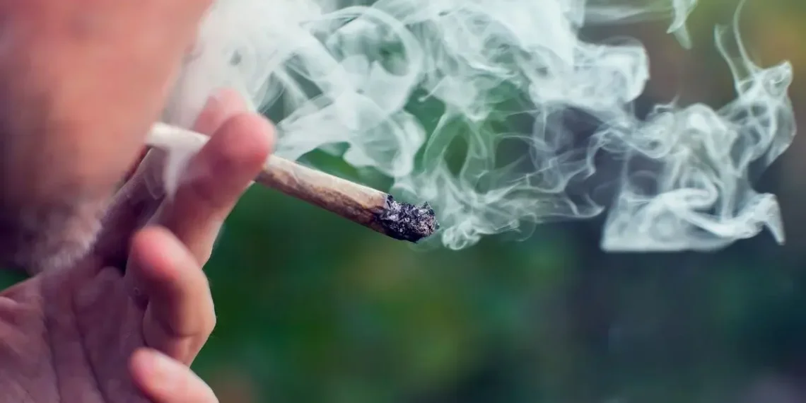 How Terpenes and Receptors Shape Cannabis’s Entourage Effect