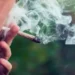 How Terpenes and Receptors Shape Cannabis’s Entourage Effect