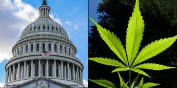 Congress Proposes Bipartisan Bill to Regulate Hemp-Derived THC Products with New Taxes