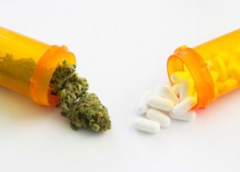 How Cannabis May Support Lower Back Pain Relief and Reduce Opioid Use