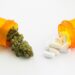 How Cannabis May Support Lower Back Pain Relief and Reduce Opioid Use