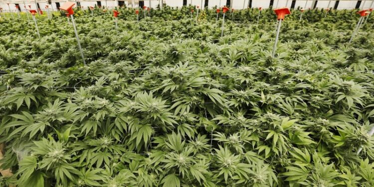 Two major manufacturers in California announce layoffs