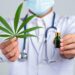 What Scientists Discovered by Tracking Cannabis Users’ Heart Health