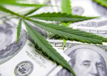 Unlocking Growth: The Rising Economic Impact of the U.S. Hemp Cannabinoid Sector