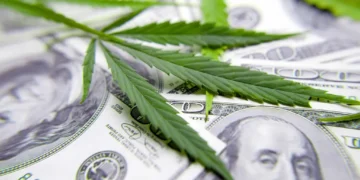 Unlocking Growth: The Rising Economic Impact of the U.S. Hemp Cannabinoid Sector