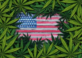 Most Americans think Cannabis is safe according to new poll