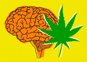 How Cannabis Can Trigger Sudden Panic: Unpacking New Brain Research