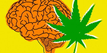 How Cannabis Can Trigger Sudden Panic: Unpacking New Brain Research