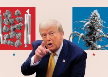 Trump’s Marijuana Rescheduling Delays Are Costing Him Support Among Cannabis Consumers