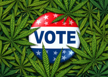 Cannabis Policy Influences Voter Decisions: 78% of Consumers Say It’s a Dealbreaker