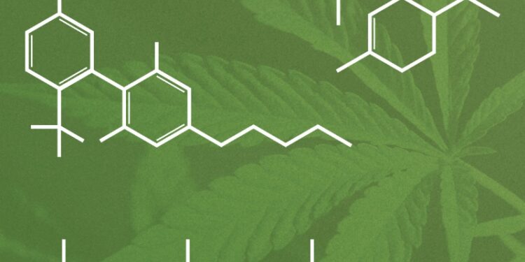 More THC doesn’t mean you’re more high