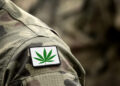 Majority of Military Veterans Back Legal Marijuana for Both Medical and Recreational Use, Poll Finds