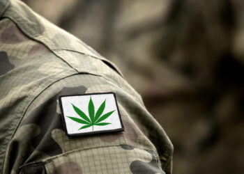 Majority of Military Veterans Back Legal Marijuana for Both Medical and Recreational Use, Poll Finds