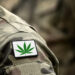 Majority of Military Veterans Back Legal Marijuana for Both Medical and Recreational Use, Poll Finds
